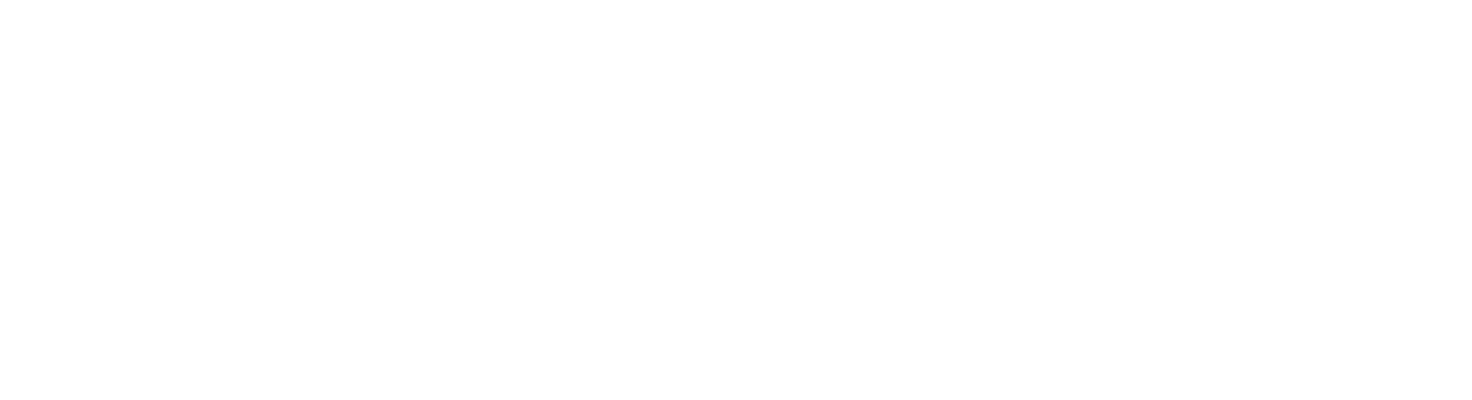 Zeina logo